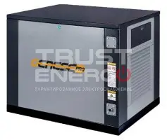 Газовый генератор Genese Pro 8500 Neva кожухе