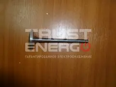 Клапан впускной TDQ 38 4L/Intake valve ТРАСТ-ЭНЕРГО