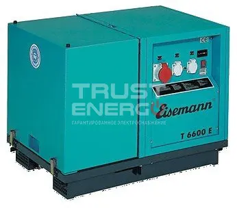 Бензиновый генератор Eisemann T 6600 E BLC В кожухе Honda GX390 trustenergo.ru
 Бензиновый генератор Eisemann T 6600 E BLC В кожухе Honda GX390 trustenergo.ru